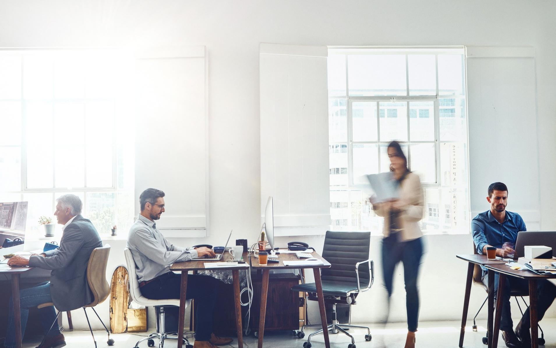 Professional business mentorship environment